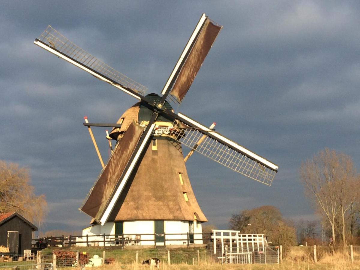 Mondriaanmolen, A Real Windmill Close To Amsterdam 압카우더 외부 사진