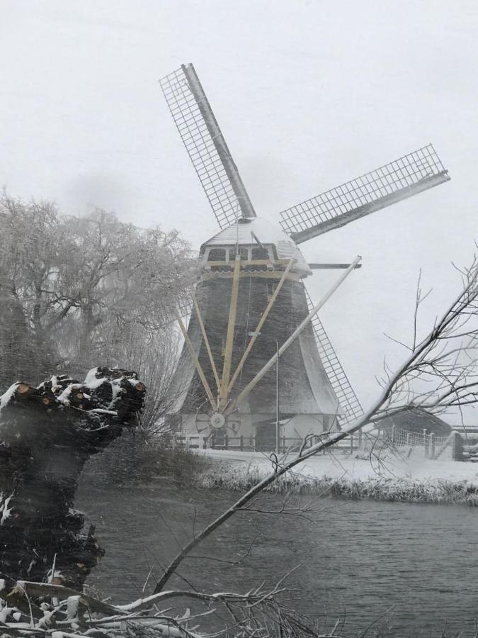 Mondriaanmolen, A Real Windmill Close To Amsterdam 압카우더 외부 사진